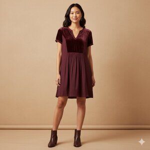 Anthropologie Maeve Women's Size Small Plum Burgundy Velvet Tunic Dress